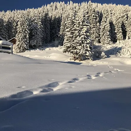 Battagliahutte Guest house